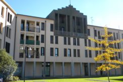 Affitto Recente Bilocale Arredato Busto Arsizio