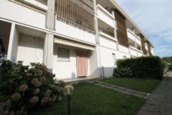 Busto Arsizio Vendita Bilocale Con Giardino