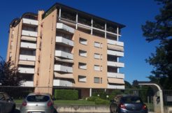 Grazioso Monolocale Vendita Gallarate