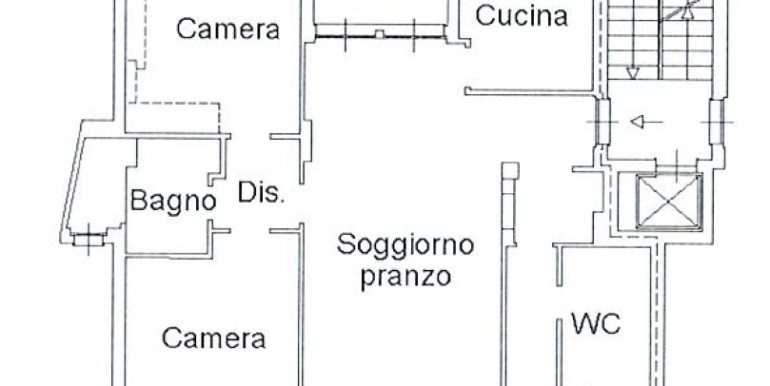 piantina x internet