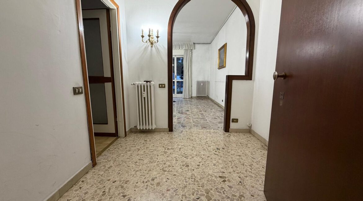 WhatsApp Image 2025-12-17 at 17.20.34