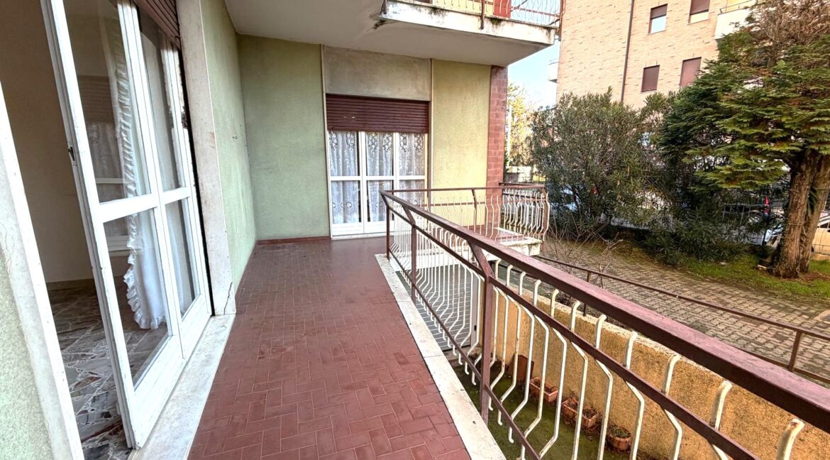 WhatsApp Image 2025-12-27 at 10.37.59