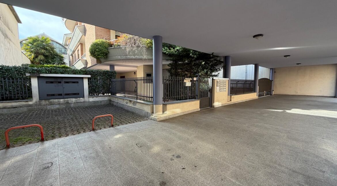 WhatsApp Image 2026-02-16 at 17.34.11