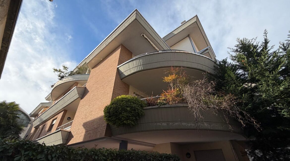 WhatsApp Image 2026-02-16 at 17.34.12 (1)