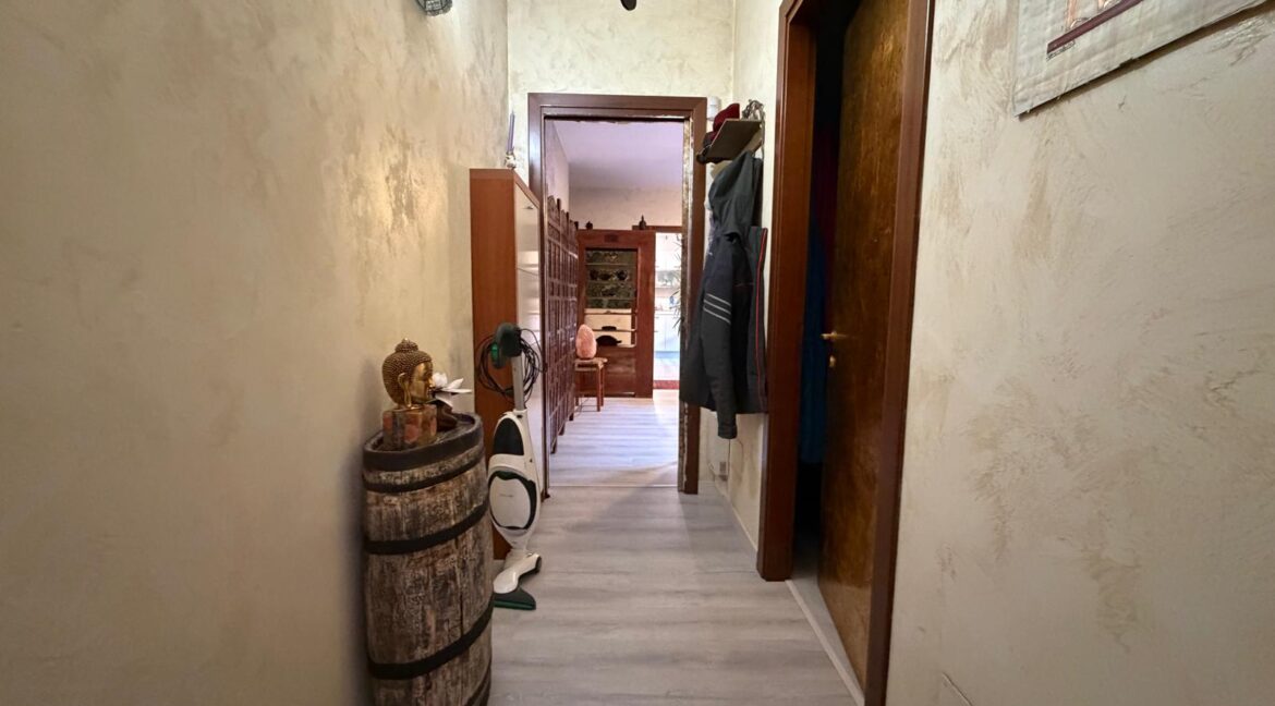 WhatsApp Image 2026-02-16 at 17.34.13 (1)