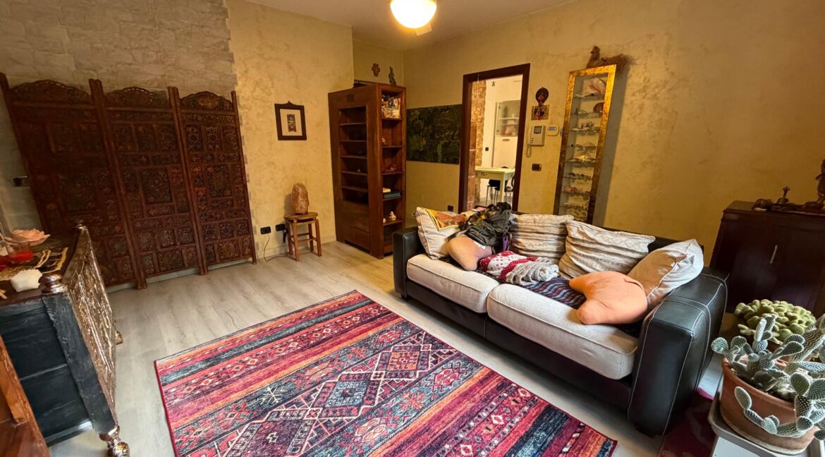 WhatsApp Image 2026-02-16 at 17.34.13