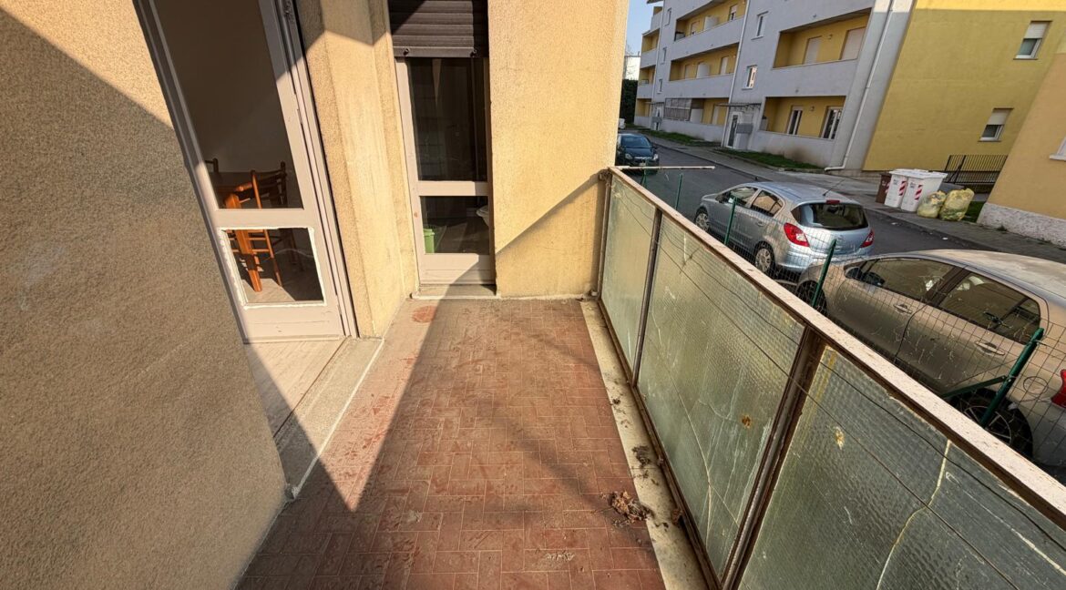 WhatsApp Image 2026-03-03 at 16.18.37 (6)