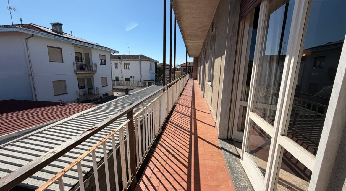 WhatsApp Image 2026-03-28 at 11.57.05